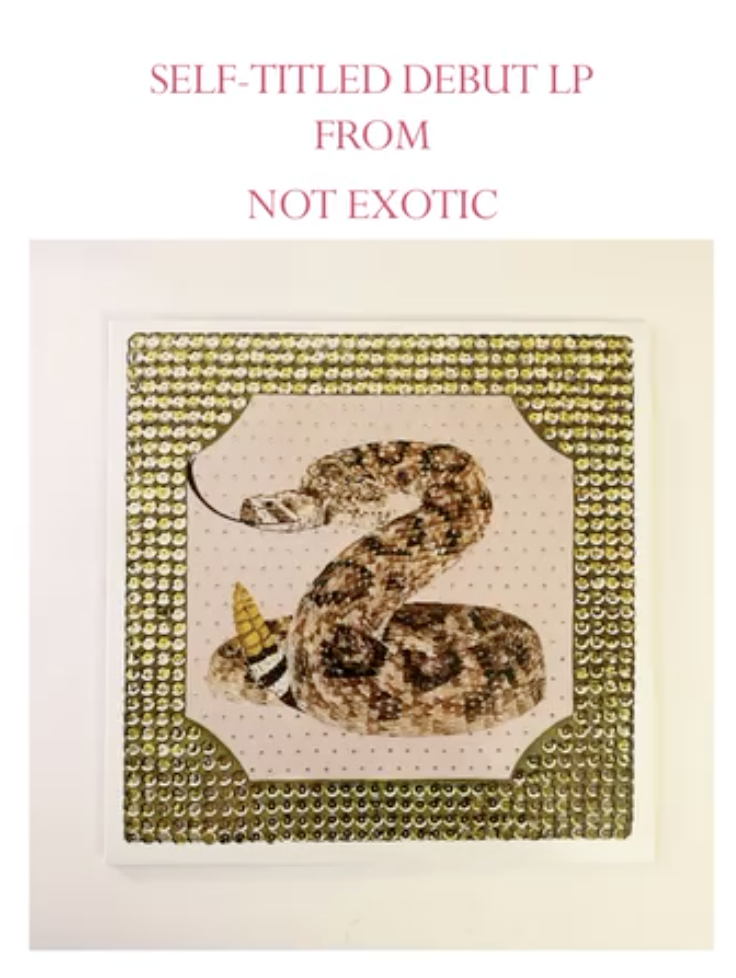 Not Exotic - Self-Titled Debut LP