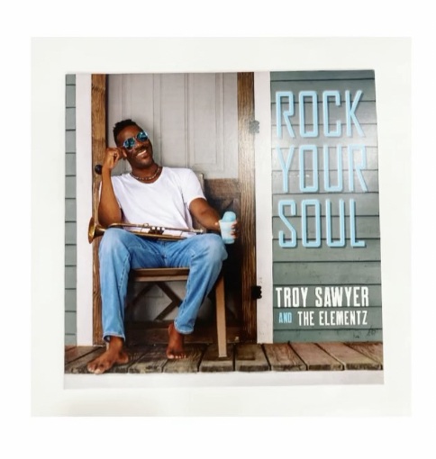 Troy Sawyer and The Elementz - Rock Your Soul